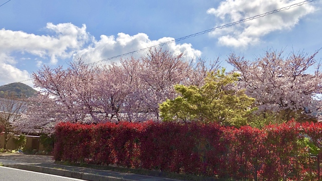 まとの - メイン写真: