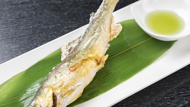 山海 - メイン写真: