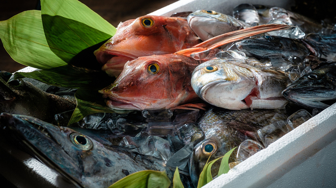 日本酒と海鮮 角打ち屋 新橋 - メイン写真: