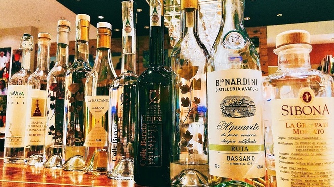 VINORIO - メイン写真: