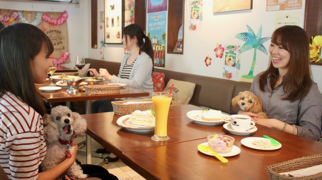 アンディカフェ 目黒本店 Andy Cafe 祐天寺 ビストロ ネット予約可 食べログ アンディカフェ 目黒本店 Andy Cafe 祐天寺 ビストロ ネット予約可 食べログ