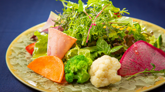 サンタ・マリア・ノヴェッラ・ティサネリーア - 料理写真:Insalata di Tisana～25種類の野菜とハーブサラダ～
