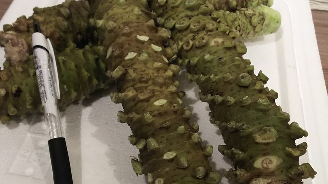 辿 - 料理写真:新潟糸魚川市の翡翠ワサビ