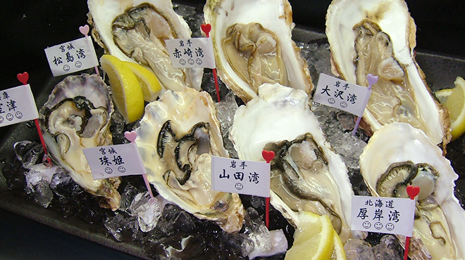 牡蠣と魚 海宝 - メイン写真: