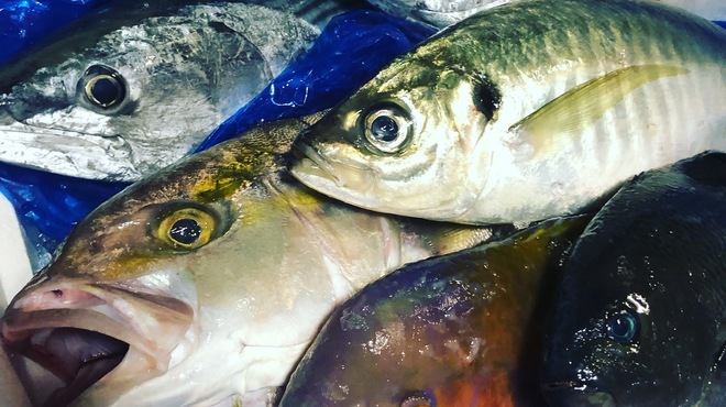 わら焼 宿酔 わら焼 ふつかよい 本町 居酒屋 ネット予約可 食べログ