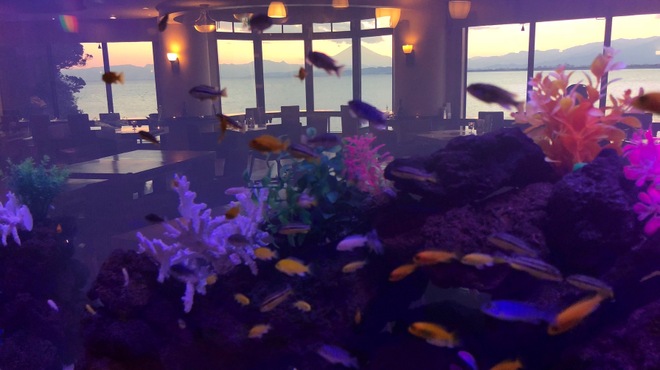 アイランドグリル - メイン写真: