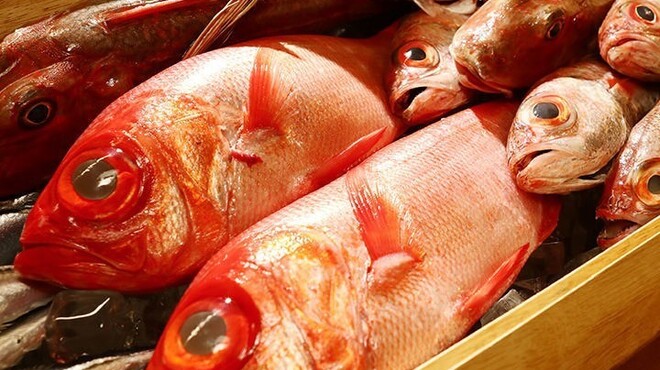 鶏と魚と炭火焼き 燈 - メイン写真: