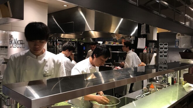 ダルマット - メイン写真: