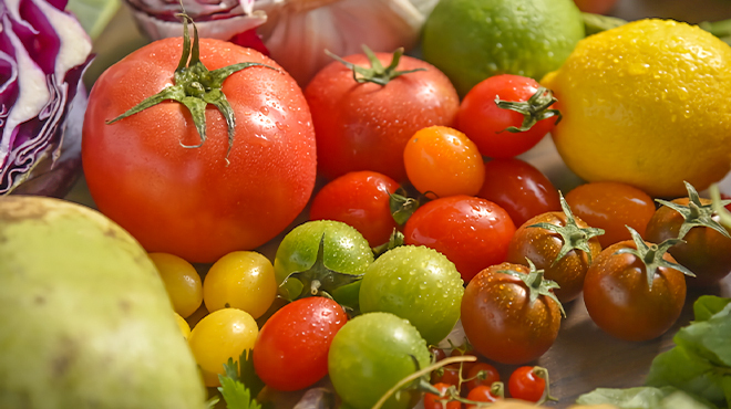 Dear My Body - メイン写真: