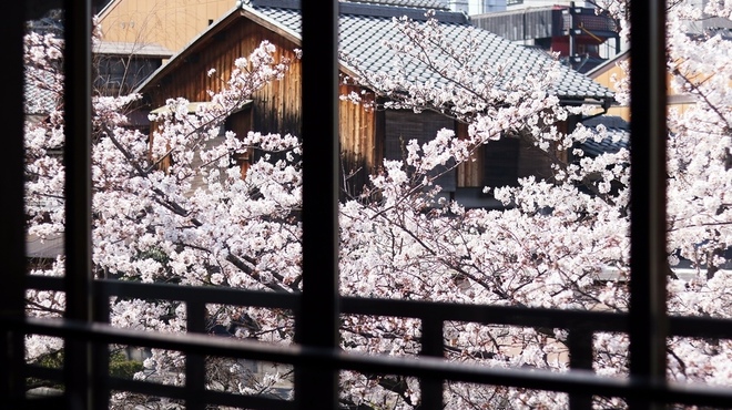 祇園 白川 なみ里 祇園四条 京料理 食べログ