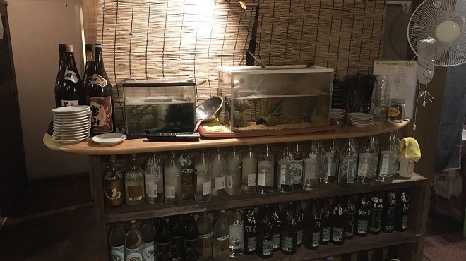 ほうなん酒場　はだか電球 - メイン写真: