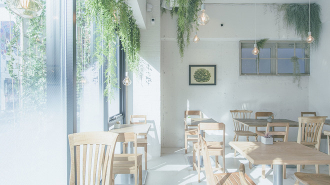 ボタニストカフェ - メイン写真: