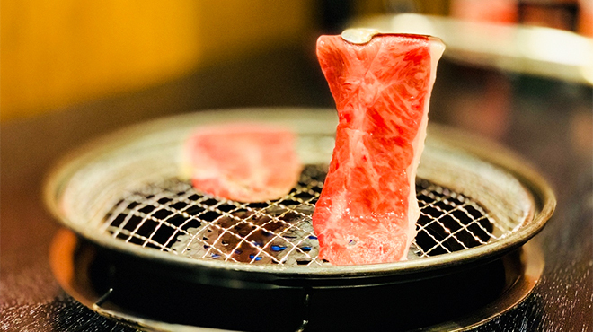 焼肉屋 Seiちゃん 赤坂 焼肉 食べログ