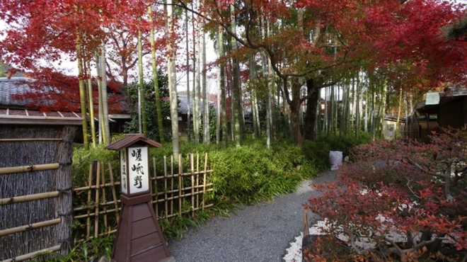 嵯峨野 - メイン写真: