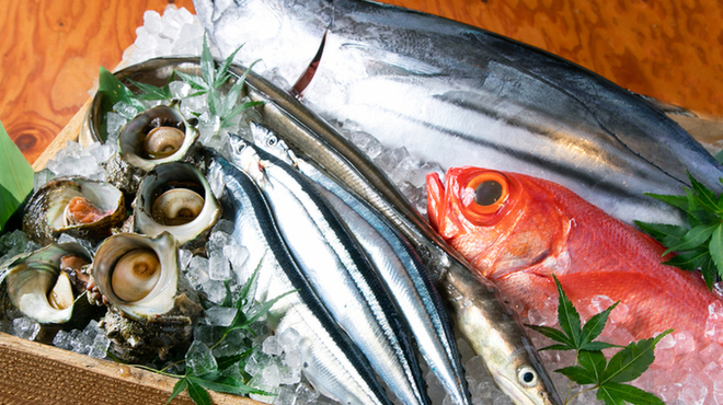 鮮魚と炉端焼き 魚丸 - メイン写真: