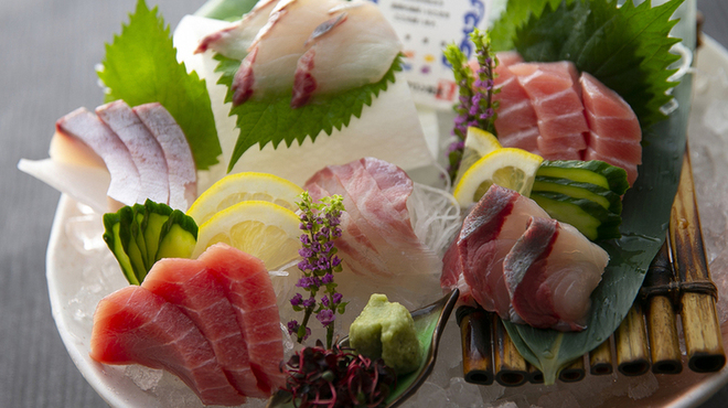 近畿大学水産研究所 - メイン写真: