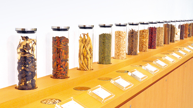 10ZEN - メイン写真: