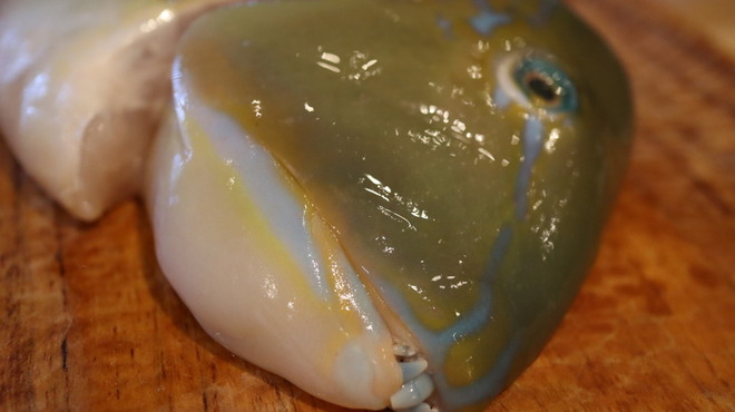 鮨やぎぬま - 料理写真: