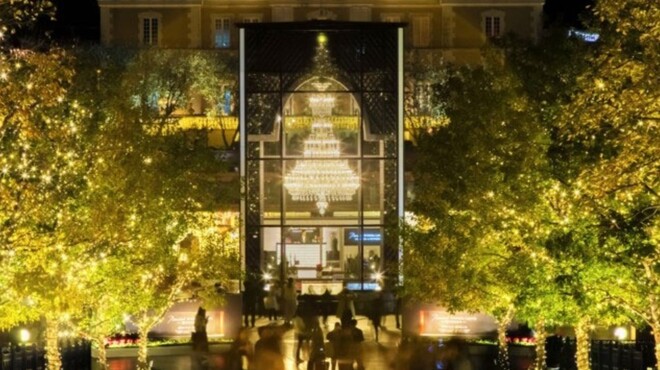 恵比寿焼肉　kintan - メイン写真: