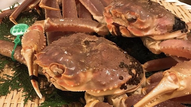 鮨割烹とと - 料理写真: