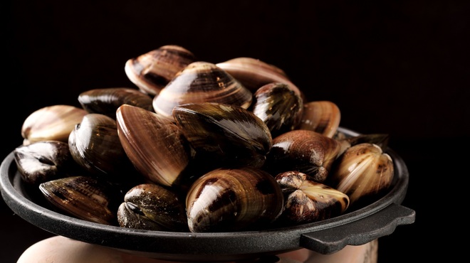 三喰撰酒 三重人 - メイン写真: