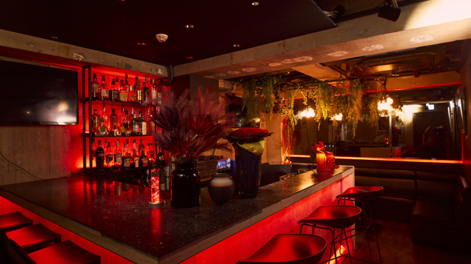 Dining Bar Redd 六本木 バー ネット予約可 食べログ Dining Bar Redd 六本木 バー ネット予約可 食べログ
