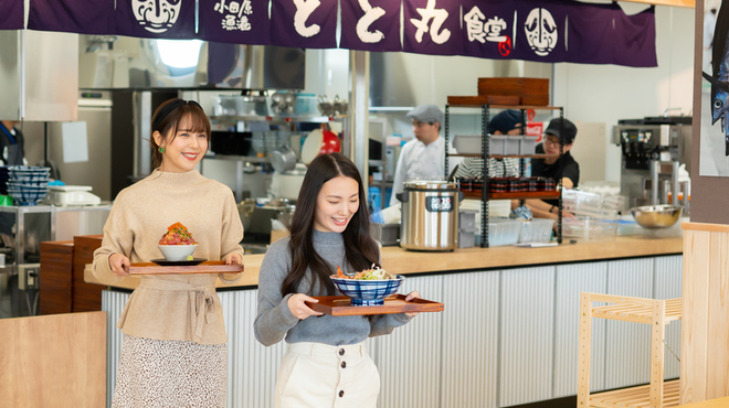 小田原漁港 とと丸食堂 - メイン写真: