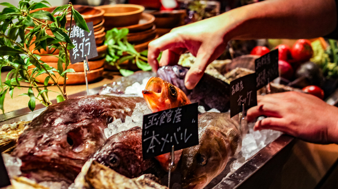 ELMO - メイン写真: