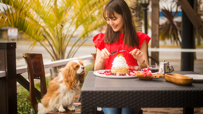 ハナウマ Hanauma つくば ハワイ料理 ネット予約可 食べログ