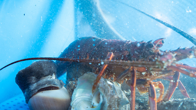 魚とごはん つき灯り - メイン写真: