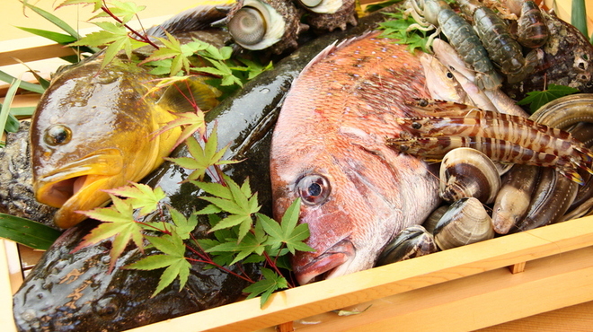 天草 - 料理写真:新鮮な魚貝類が豊富