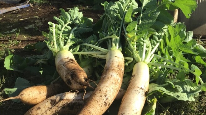 炭火焼専門食処 白銀屋 - メイン写真: