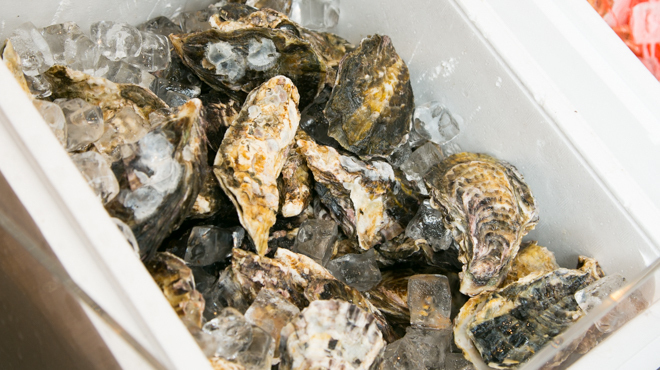 手羽先とかきをもっと自由に 大衆酒場 HANEGAKI - メイン写真: