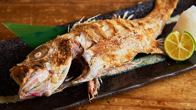 魚真 - メイン写真: