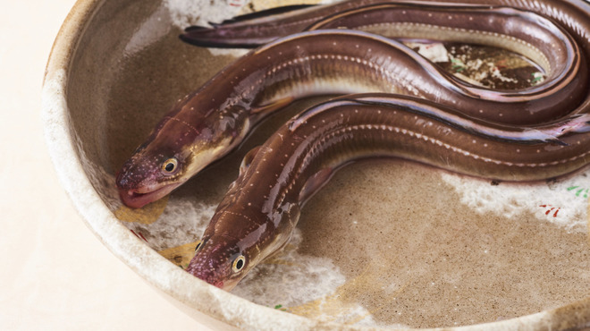 玄菜 - メイン写真: