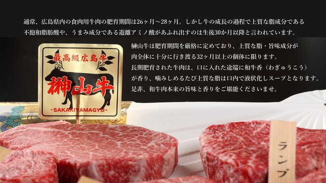 焼肉ふるさと 広島駅前店 猿猴橋町 焼肉 食べログ