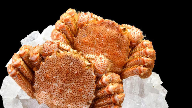 粋な居酒屋 あいよ - メイン写真: