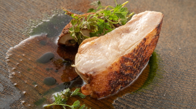 logue - 料理写真: