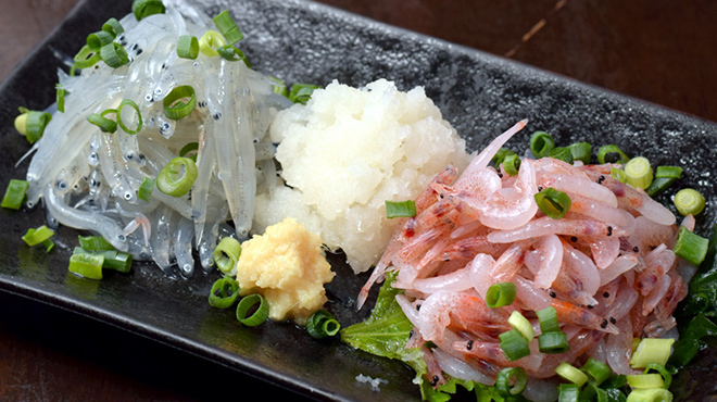 静岡の美味しいもの ガッツ - メイン写真: