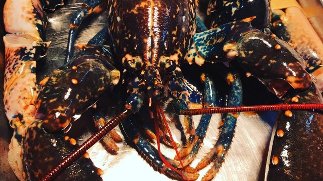 ラ　マティエール　エフ - 料理写真: