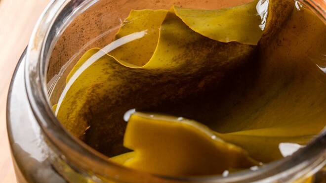 도쿄육가 - 메인 사진: