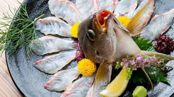 九州の地魚料理 侍 - メイン写真: