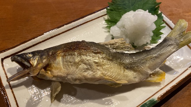 Hida Izakaya Kurasuke - 料理写真: