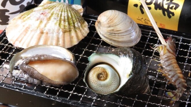魚屋 山陽姫路 居酒屋 ネット予約可 食べログ 魚屋 山陽姫路 居酒屋 ネット予約可 食べログ