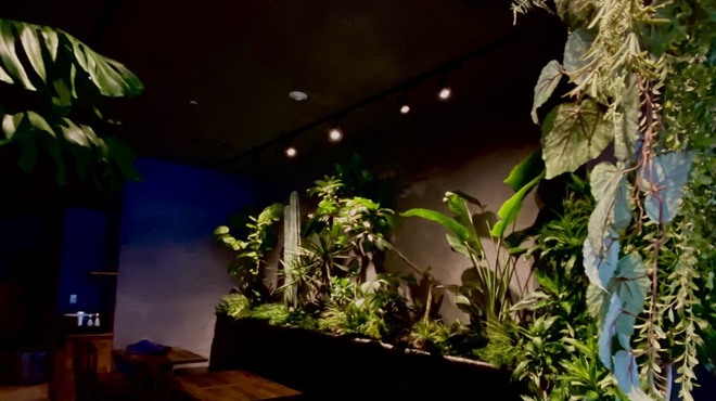 海南鶏飯食堂 - メイン写真: