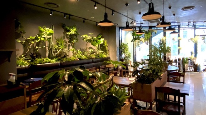 海南鶏飯食堂 - メイン写真: