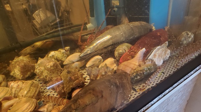 KAKIYA シェル＆シュリンプ - メイン写真: