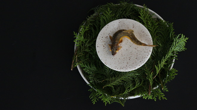 レスト　ケイ　ヤマウチ - メイン写真: