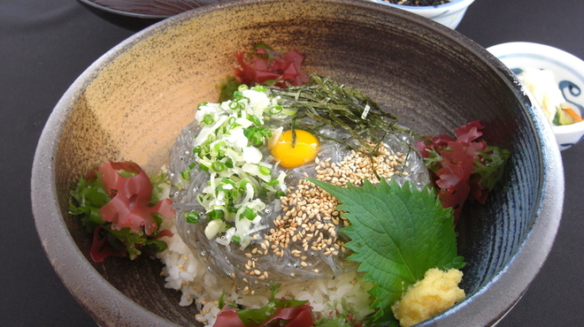 Kattobi - 料理写真:生しらす丼   自慢は持船による自社漁と朝どれの鮮度。