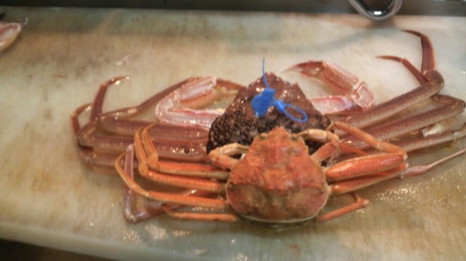 なか井 - メイン写真: